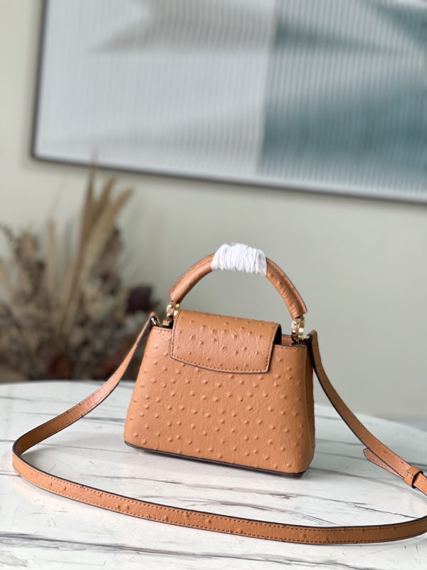 Louis Vuitton Mini Capucines Ostrich Leather Handbag - Brown - Image 4