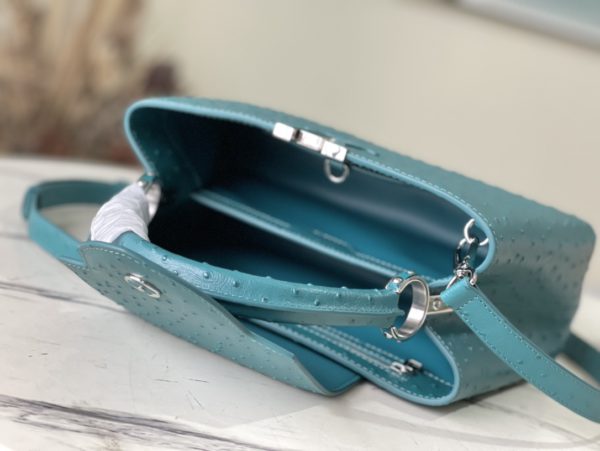 Louis Vuitton Medium-Sized Capucines Ostrich Leather Handbag - Blue - Image 2