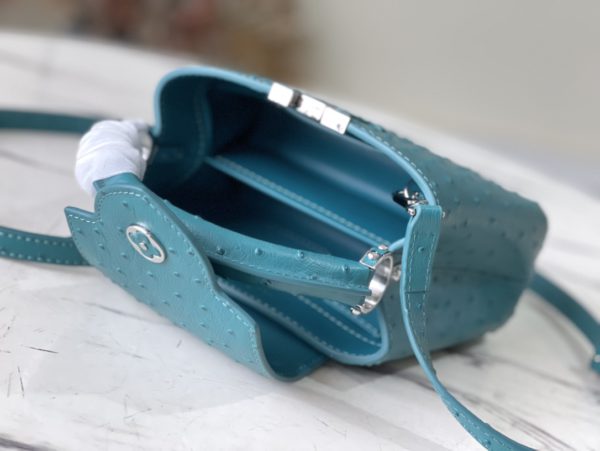 Louis Vuitton Mini Capucines Ostrich Leather Handbag - Blue - Image 4