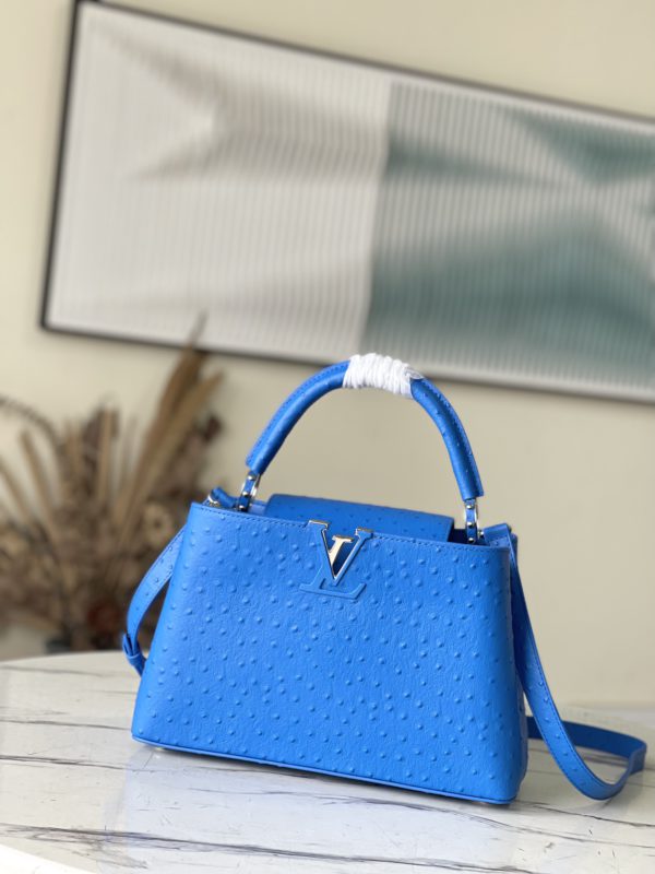 Louis Vuitton Medium-sized Capucines Ostrich Leather Handbag