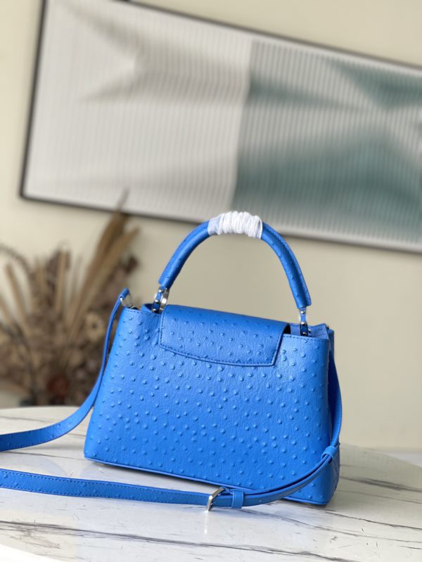 Louis Vuitton Medium-sized Capucines Ostrich Leather Handbag - Image 8