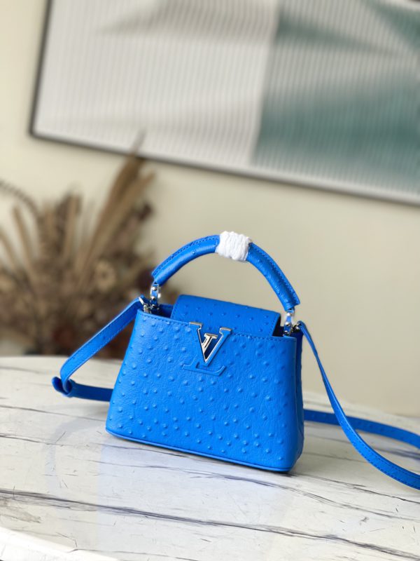 Louis Vuitton Mini Capucines Ostrich Leather Handbag
