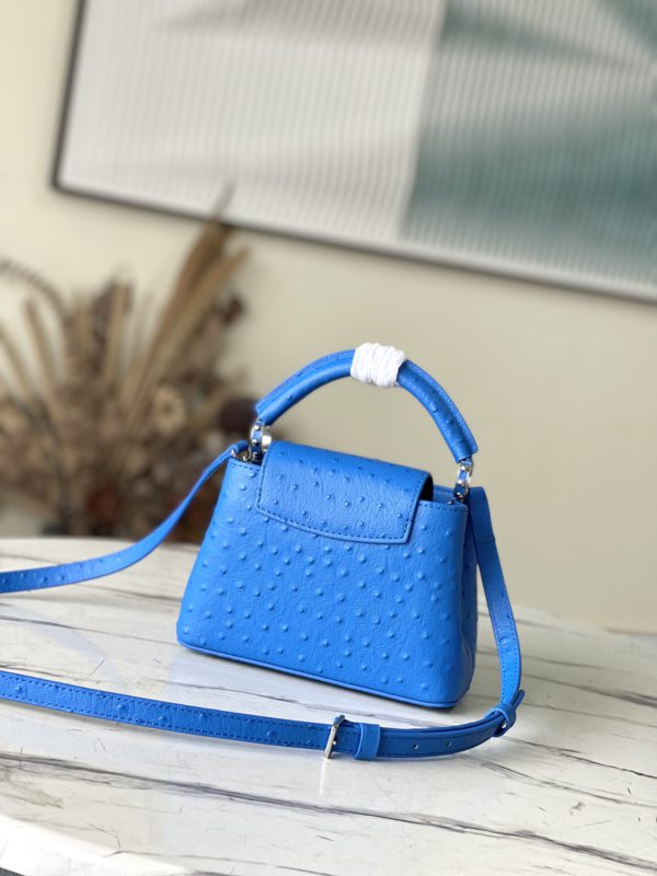 Louis Vuitton Mini Capucines Ostrich Leather Handbag - Image 6